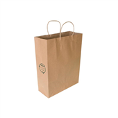 BROWN PAPER BAG MED SHOP TWIST 260X350X100 250CTN