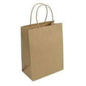 Brown Paper Bag THandle Junior 275X205Cm 50Pk