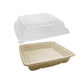 Greenmark Platter Deep 10 WLid 100CTN