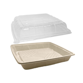 Greenmark Platter Deep 12 With Lid 100CTN