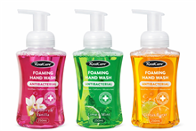 Real Care Foaming Hand Wash Antibac 250ml 